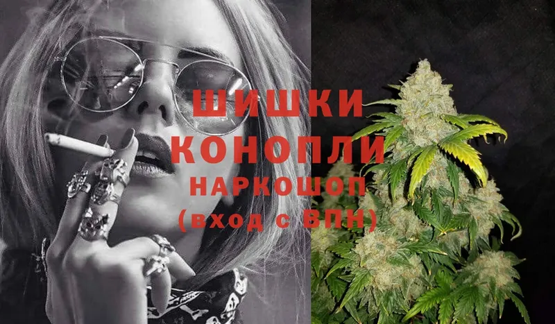 Канабис OG Kush  Тавда 